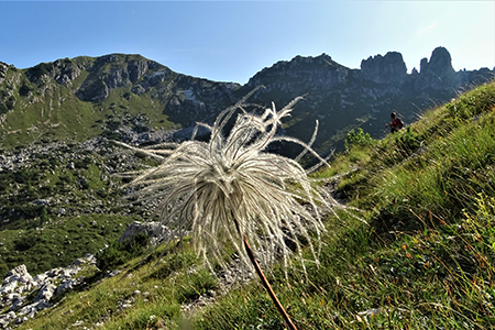 CORNA GRANDE (2089 m) ai Piani di Bobbio da Ceresola di Valtorta il 1 settembre 2019- FOTOGALLERY